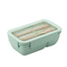 Lunch box en paille de blé couvercle transparent | MALUNCHBOX™ Malunchboxshop Vert 